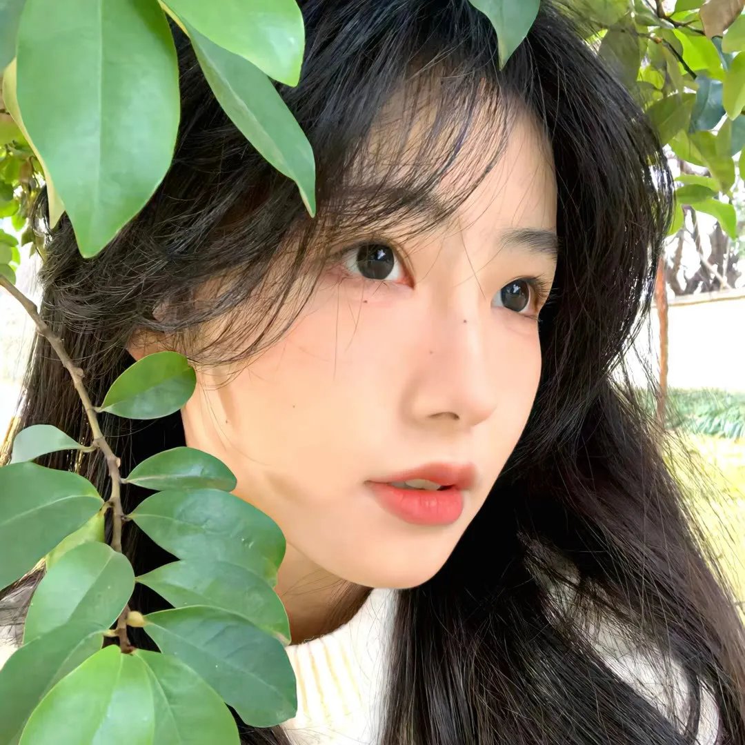 真不错！光源君